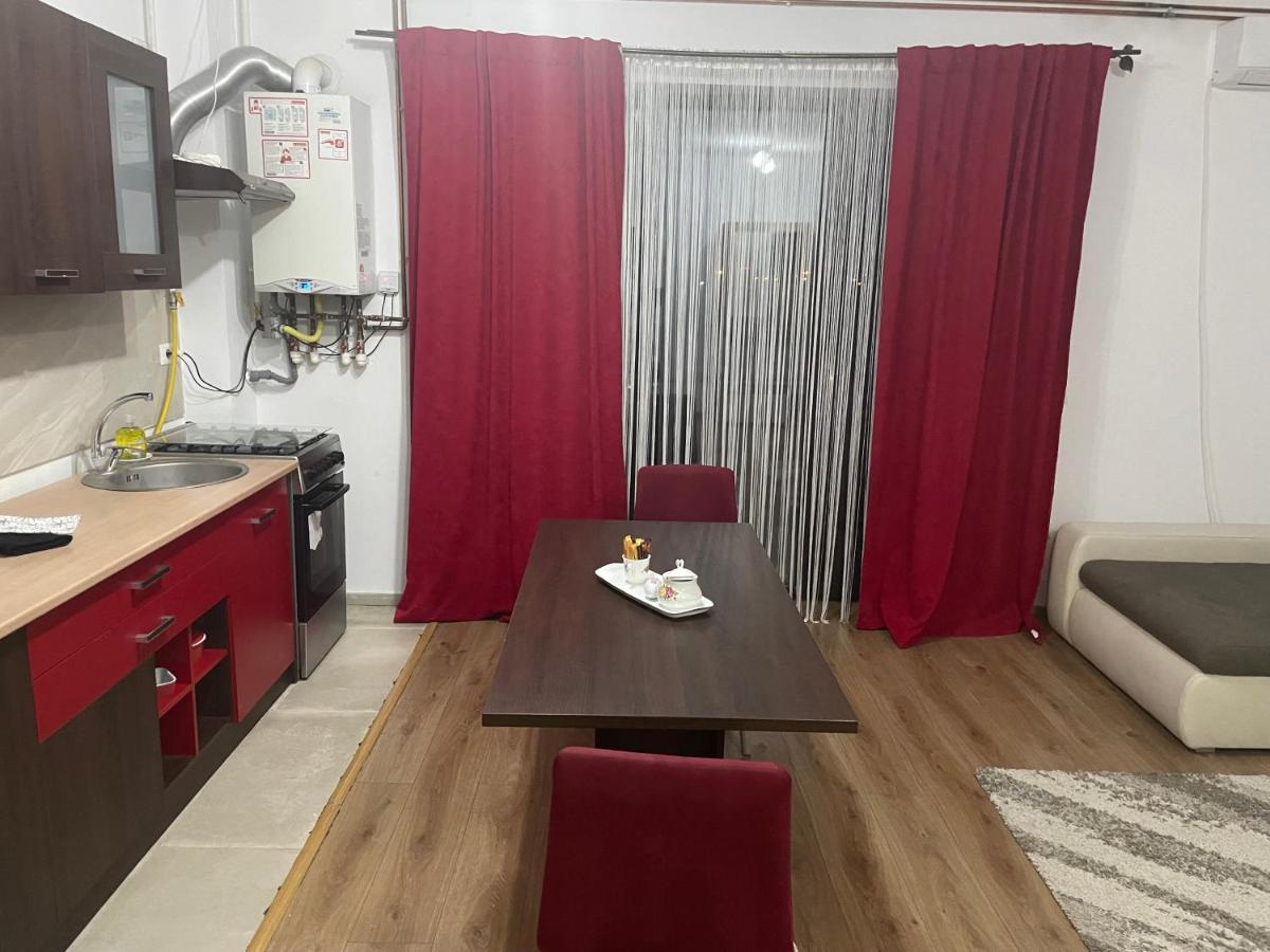 Apartament Adriana Apartment Giroc Luaran gambar